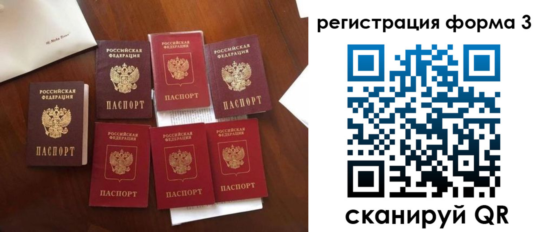 прописка в Камешково